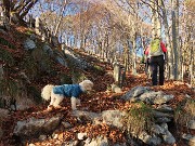 CORNAGERA e POIETO ad anello da Aviatico (10nov24) - FOTOGALLERY